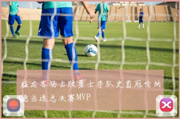 猛龙客场击败勇士夺队史首冠伦纳德当选总决赛MVP