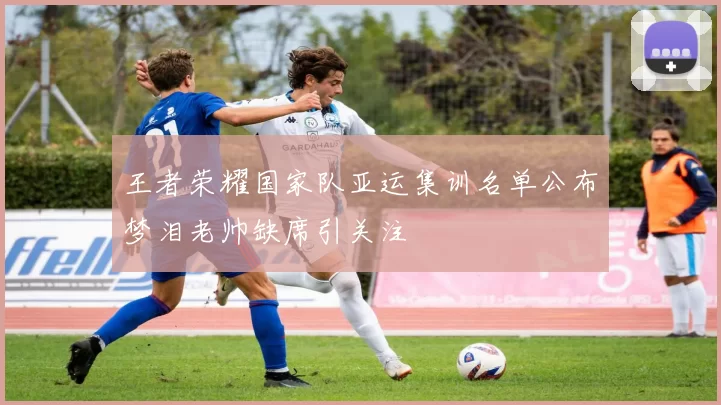 王者荣耀国家队亚运集训名单公布梦泪老帅缺席引关注