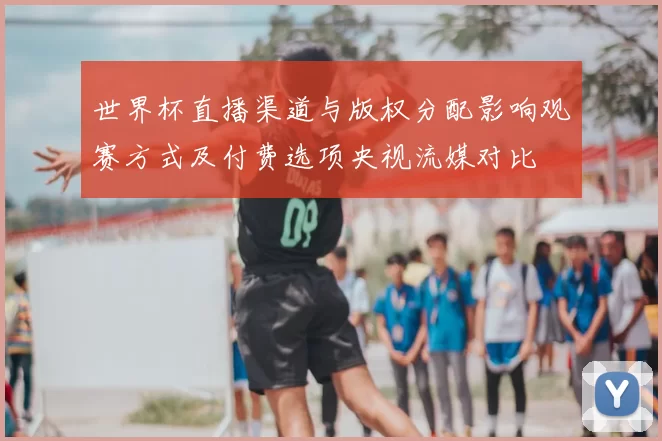 世界杯直播渠道与版权分配影响观赛方式及付费选项央视流媒对比