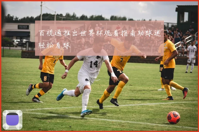 百视通推出世界杯观看指南助球迷轻松看球