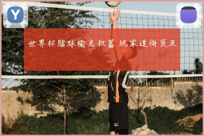 世界杯赌球输光积蓄 玩家追悔莫及
