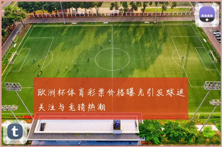 欧洲杯体育彩票价格曝光引发球迷关注与竞猜热潮
