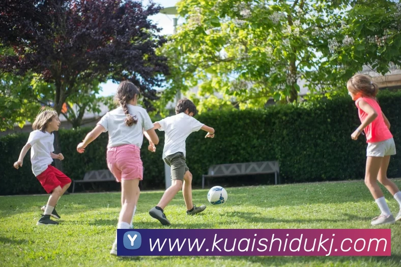 多媒体互动体验